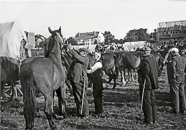 Лошадиный рынок в Велау. Wehlau Pferdemarkt 1930-194x