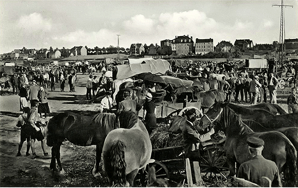 Лошадиный рынок в Велау 1930-е