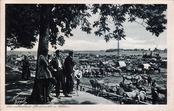 Лошадиный рынок в Велау 1934