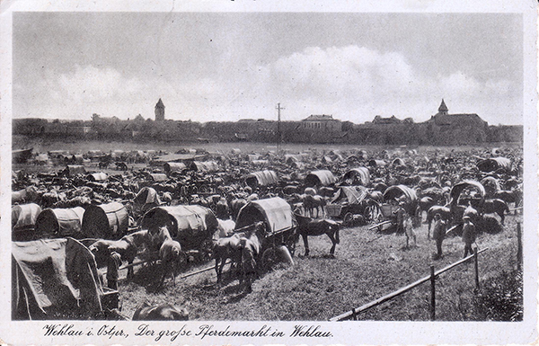 Лошадиный рынок в Велау 1942