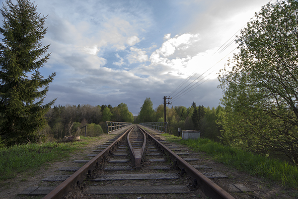 Железные дороги Роминтской пущи Токаревка-2010
