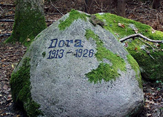 Памятный камень собаке Доре